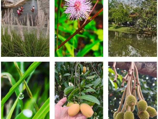 ภาพบรรยากาศรอบๆ Resort