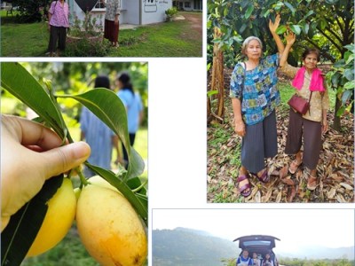 ทริปพายายเที่ยว